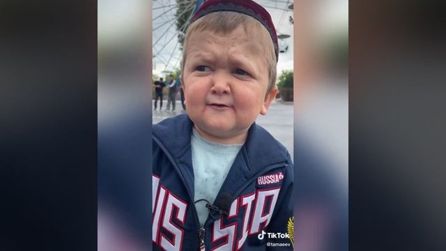 Гонорар Хасбик Дана Вайт сколько предлагал Хасбика смотреть онлайн