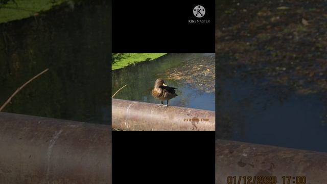 Fotos tomadas con Canon sx530 hs enero 2021 смотреть онлайн