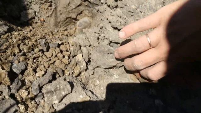 Что мы сделали с кротом! СЛЕПЫШ напал на людей! смотреть онлайн