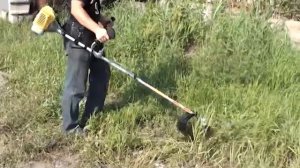 Beezone бензокоса М