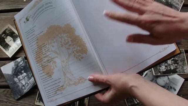 Книга рода от издательства учитель смотреть онлайн