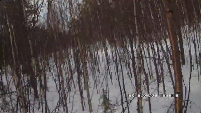 V-800 в густом березняке смотреть онлайн