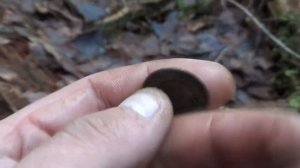 Коп с металлоискателем Garrett ace 400i и XP ORX. Поиск новых мест!