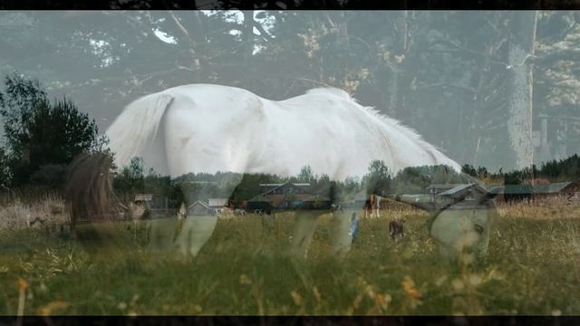 Relaxing Деревня Луга Животные смотреть онлайн