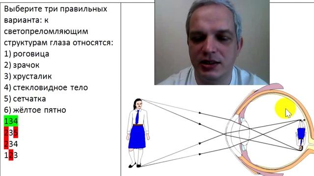 Видео-объяснение для Биоробота смотреть онлайн