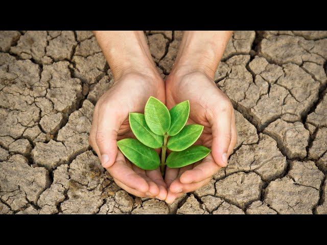 Система ценностей зависимого. Кл. психолог Елена Худышина. смотреть онлайн