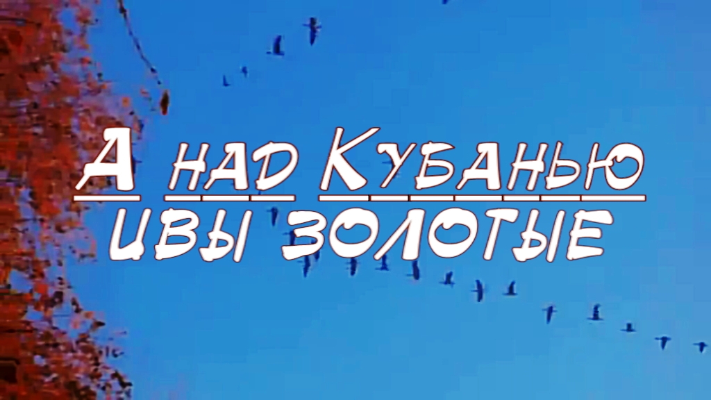 А над Кубанью ивы золотые смотреть онлайн