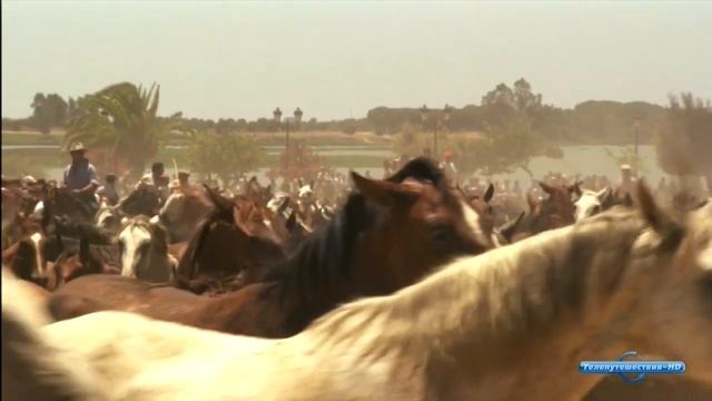 Андалусия: между раем и адом / Andalucia: Between Heawen And Hell