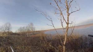 Весенняя охота на уток  с участием 32 калибра