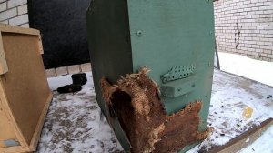 Как заказать пчелопакеты. Покупаю пчёл карнику.