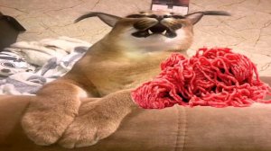 Шлёпа Русский кот и его пельмени