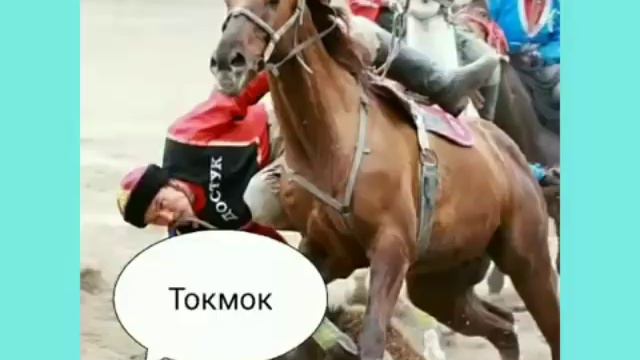 Кок борунун аттары. смотреть онлайн