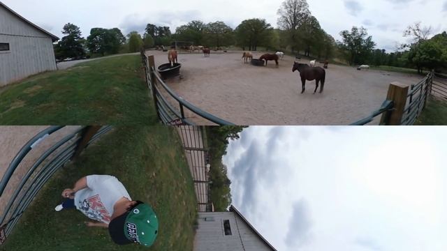 360 Degree VR Noon at Deerpark Carriage Biltmore Estate Asheville North Carolina смотреть онлайн