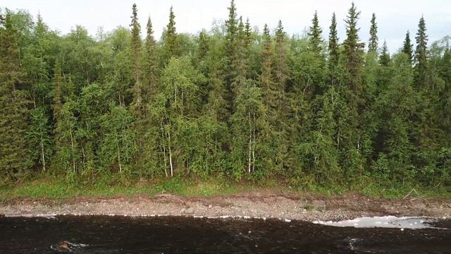 Инта р. " Чёрная " Душевный отдых ! смотреть онлайн