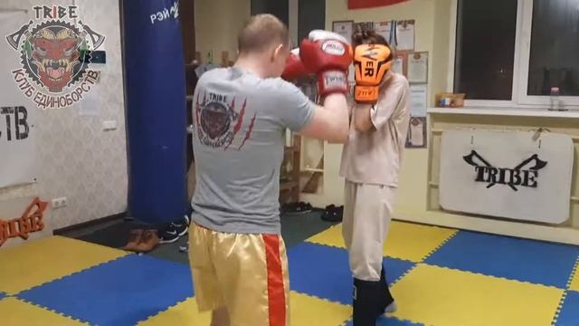Тайский Бокс в Жуковском (TRIBE клуб единоборств) смотреть онлайн