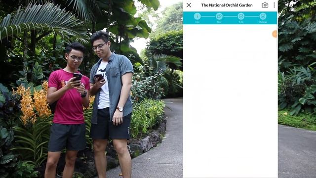A Definitive Guide to Botanic Gardens Singapore | Locomole смотреть онлайн