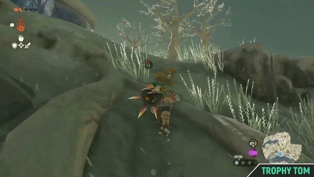 Zelda: Tears of the Kingdom - How to Reach the Snow Shrine - Great Sky Island смотреть онлайн