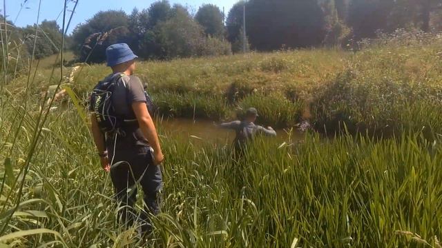 Костромской областной слёт туристов памяти адмирала Г.И. Невельского. 2021г. смотреть онлайн