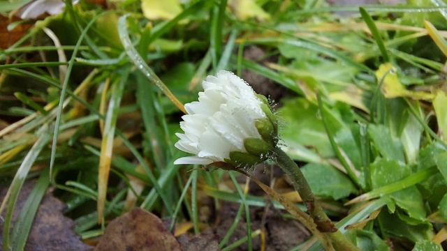 Прикоснусь до тебя на мгновенье. Очень нежное и теплое стихотворение. НатаЛия ПодГорная смотреть онлайн