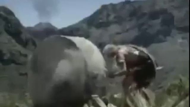 Кто и зачем придумал колесо. смотреть онлайн