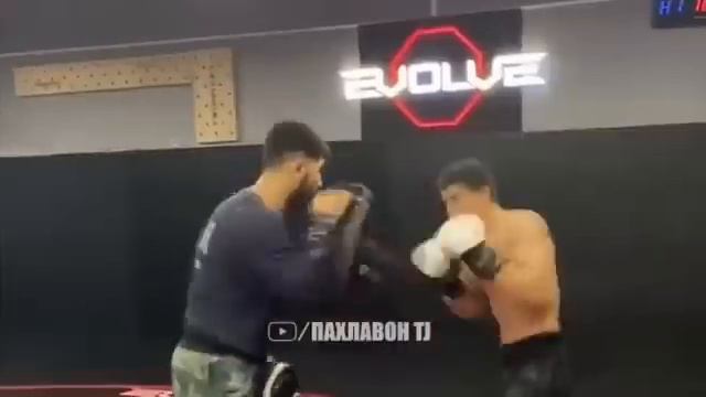 САМАНДАР ДАР UFC? СУХАНОНИ САМАНДАР МУРОДОВ БАЪДИ БОЙ смотреть онлайн