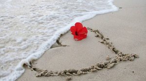 ПЕСНЯ, СПЕТАЯ СЕРДЦЕМ! - ПЛАЧЕТ ДУША... - SENI SUIEM ( ЛЮБЛЮ ТЕБЯ ) - ИСП. КАЙРАТ НУРТАС