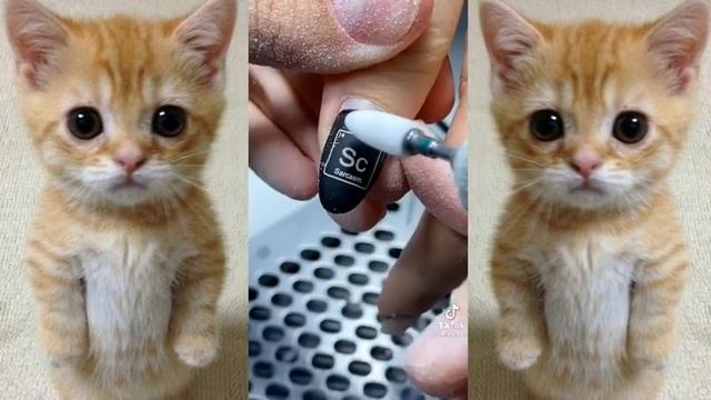 ?Маникюр + истории из жизни? смотреть онлайн