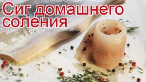 Рецепты из сига - как приготовить сига пошаговый рецепт - Сиг домашнего соления за 30 минут