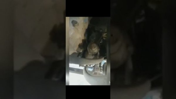 Зил 4331 (645) самосвал г Семей