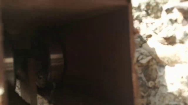 установка ворот на рельсах смотреть онлайн