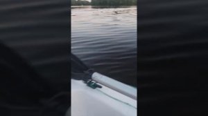 Кайман 300 SEA PRO 5F