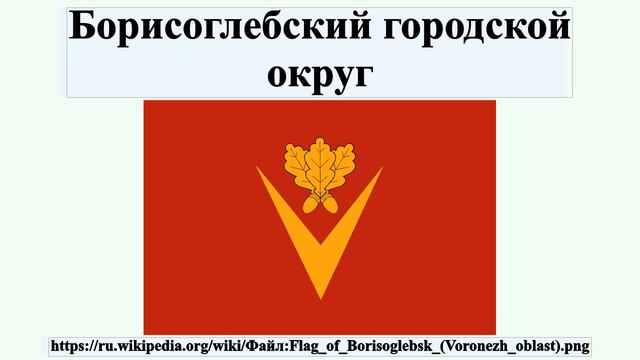 Борисоглебский городской округ смотреть онлайн