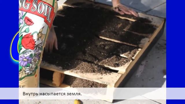 Сад и огород Ландшафтный дизайн Вертикальное озеленение сада цветами смотреть онлайн