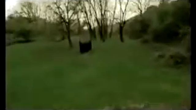 Abbas Sarı Gəlin( Clip Version ) смотреть онлайн