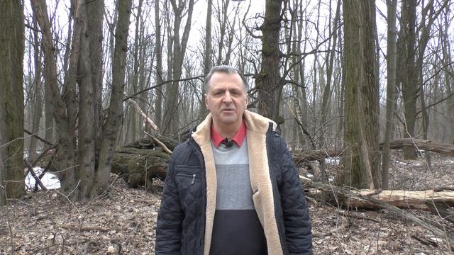 8 Марта. Поздравление МУЖЧИНАМ (Эдуард Асадов, «Девушка и лесовик», сказка-шутка) смотреть онлайн