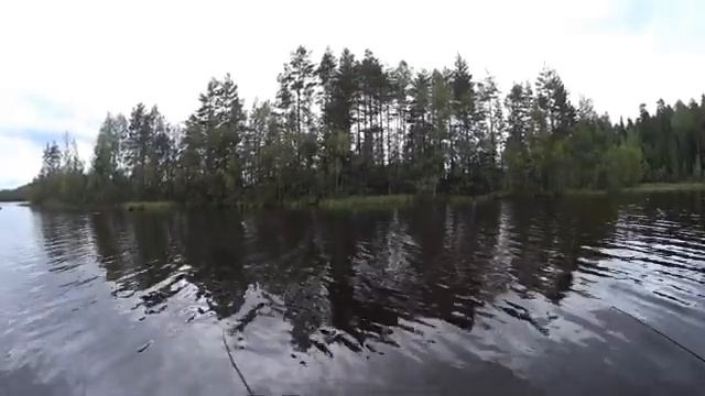 Рыбалка в августе,в затопленном лесу.Ловлю на воблеры #Allblue #ALLBLUE Рыбалка с лодки смотреть онлайн