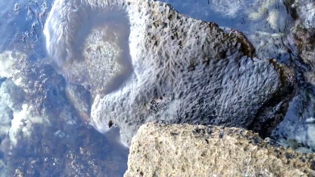 Обвал скалы в Межводном. Новые Достопримечательности Крыма//Обстановка в Крыму. смотреть онлайн