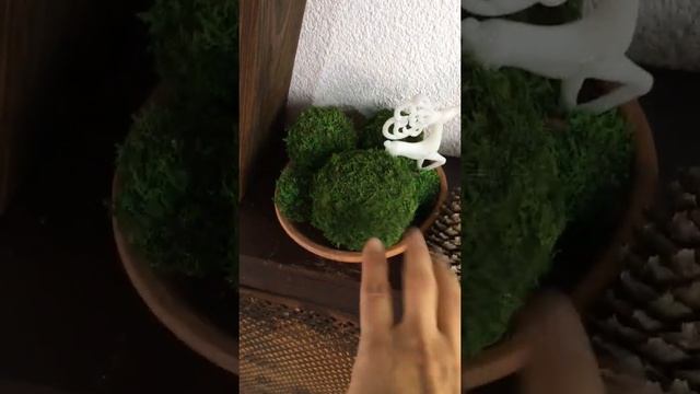 Стабилизированный мох в интерьере смотреть онлайн