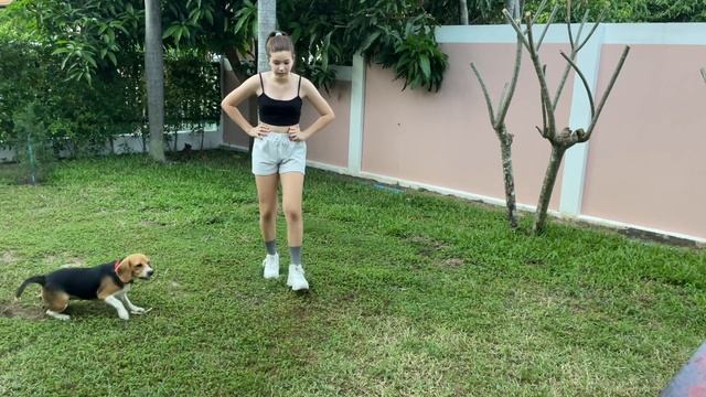 LISA - 'MONEY' DANCE TUTORIAL смотреть онлайн