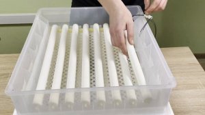 Обзор автоматического инкубатора TH-120 (220В/12В) Tehnomur