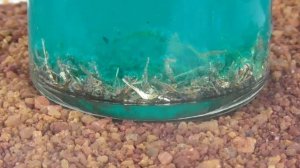 Аффинаж золото снятие позолоты с контактов Электролит+азотная кислота