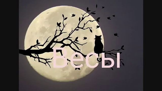 Какая ты песня по знаку зодиака? смотреть онлайн