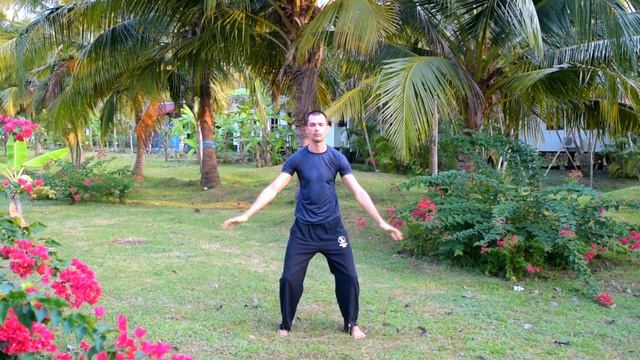 Цигун для весны. Цигун для начинающих. Уроки цигун