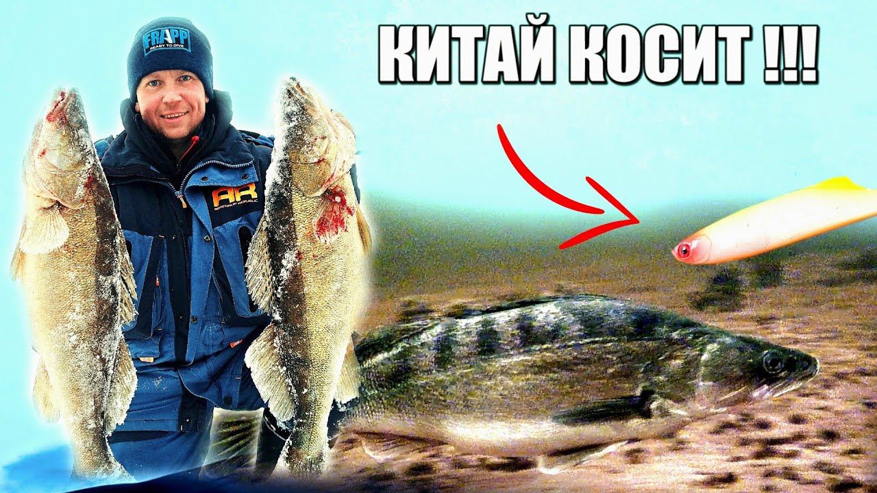 Вот это рыбалка! Попали на клев крупного Судака. Зимняя рыбака 2024. смотреть онлайн