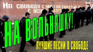 НА ВОЛЬНЯШКУ! ЛУЧШИЕ ПЕСНИ О СВОБОДЕ - ХИТЫ РУССКОГО ШАНСОНА