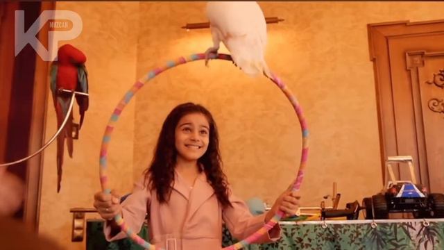 Аркадий Думикян-Новый Армянин- Текст/Arkadiy Dumikyan Lyrics. Novyy Arminin