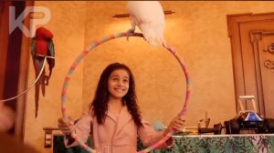 Аркадий Думикян-Новый Армянин- Текст/Arkadiy Dumikyan Lyrics. novyy arminin