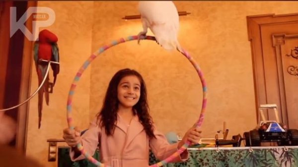 Аркадий Думикян-Новый Армянин- Текст/Arkadiy Dumikyan Lyrics. novyy arminin