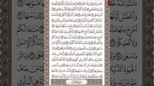 Чтение суры Ан-Назиат (79) Айман Сувейд