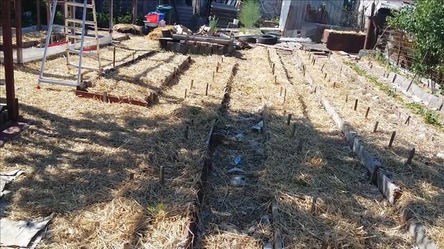 80."Все сорта" - разочарование :( Барыня Купчиха Дар - земклуника без прикрас. смотреть онлайн